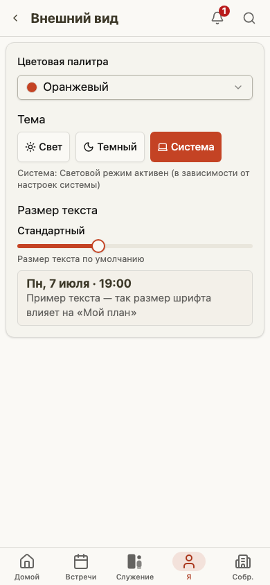 Настройки внешнего вида